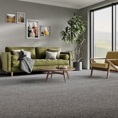 Carpet Cleaning • Large Room • Tapestry Carpet Cleaning • Large Room