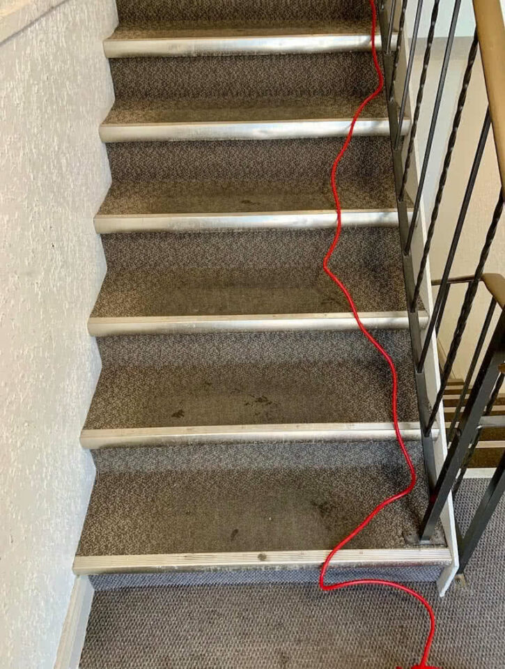 Strata carpet cleaning demo: stairs before cleaning.